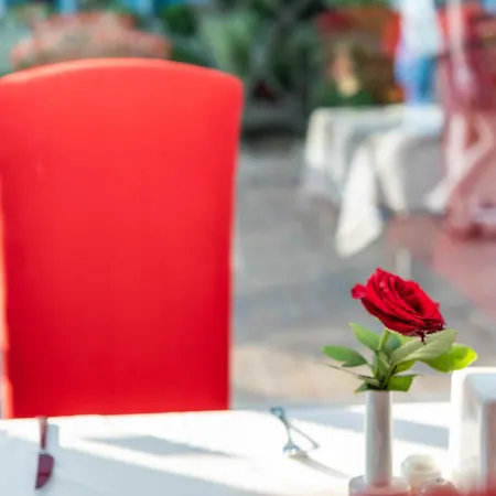 Vikingen Infinity & 5* Avsallar