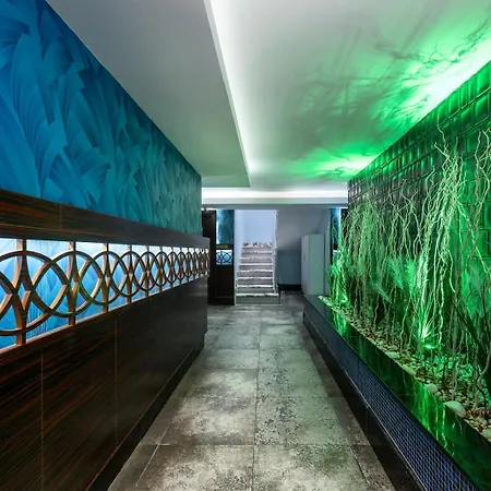Vikingen Infinity & Hotel Avsallar